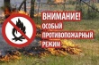 С 12 июня на территории Архангельской области установлен особый противопожарный режим в лесах